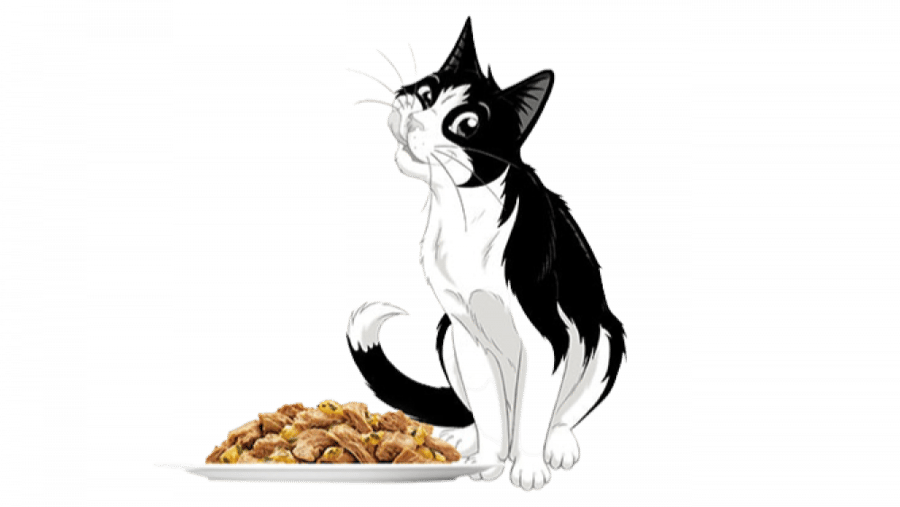 اظرف فيلكس اللحم البقري للقطط البالغة PURINA Felix - متجر قطتي الجميلة