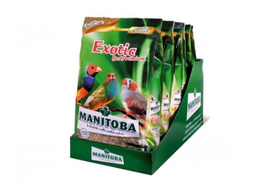 مانيتوبا اكل الزيبرا خليط مشكل من البذور Manitoba Exotic Best Premium