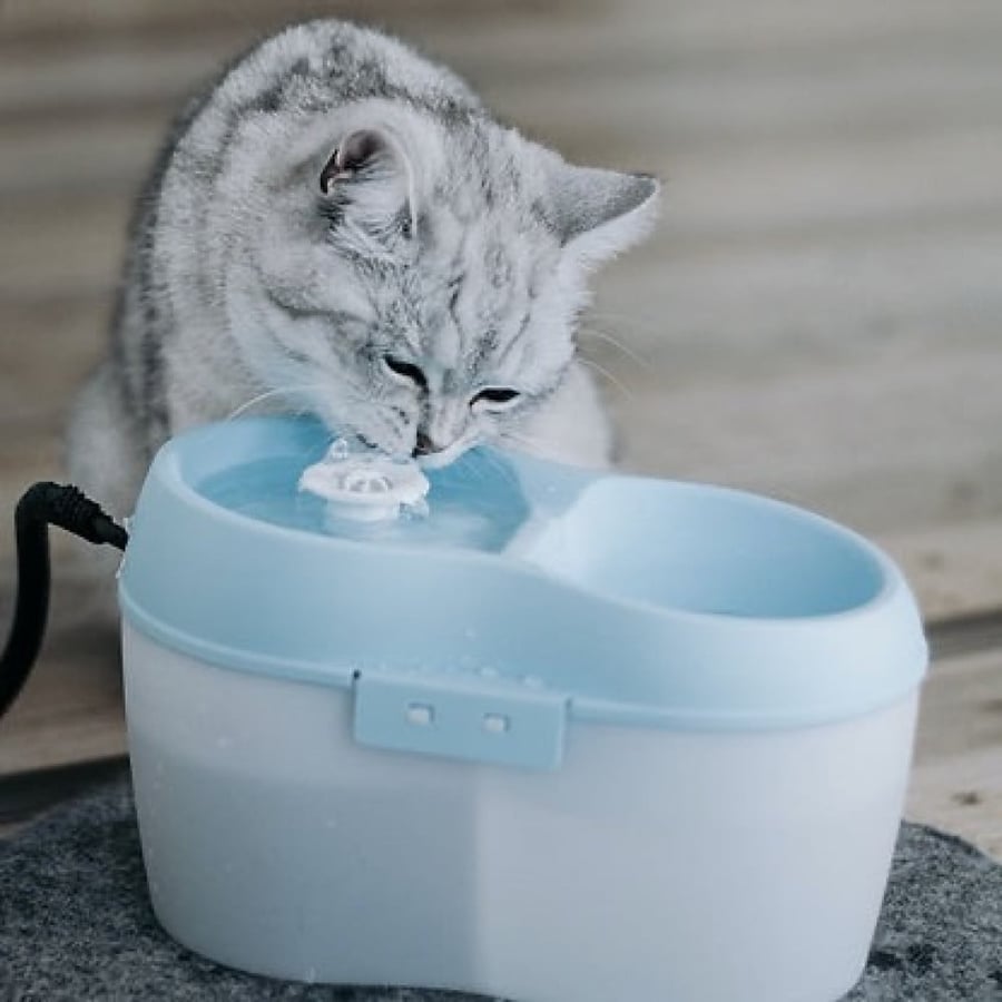 قرص نافورة Cat H2O للعناية بنظافة أسنان القطط Dental Care By Cat H2O