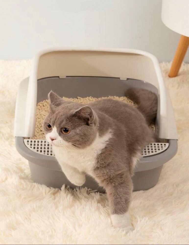 حوض رمل قطط ليتر بوكس حوض رمل نونية لتدريب القطط Litter box kitten