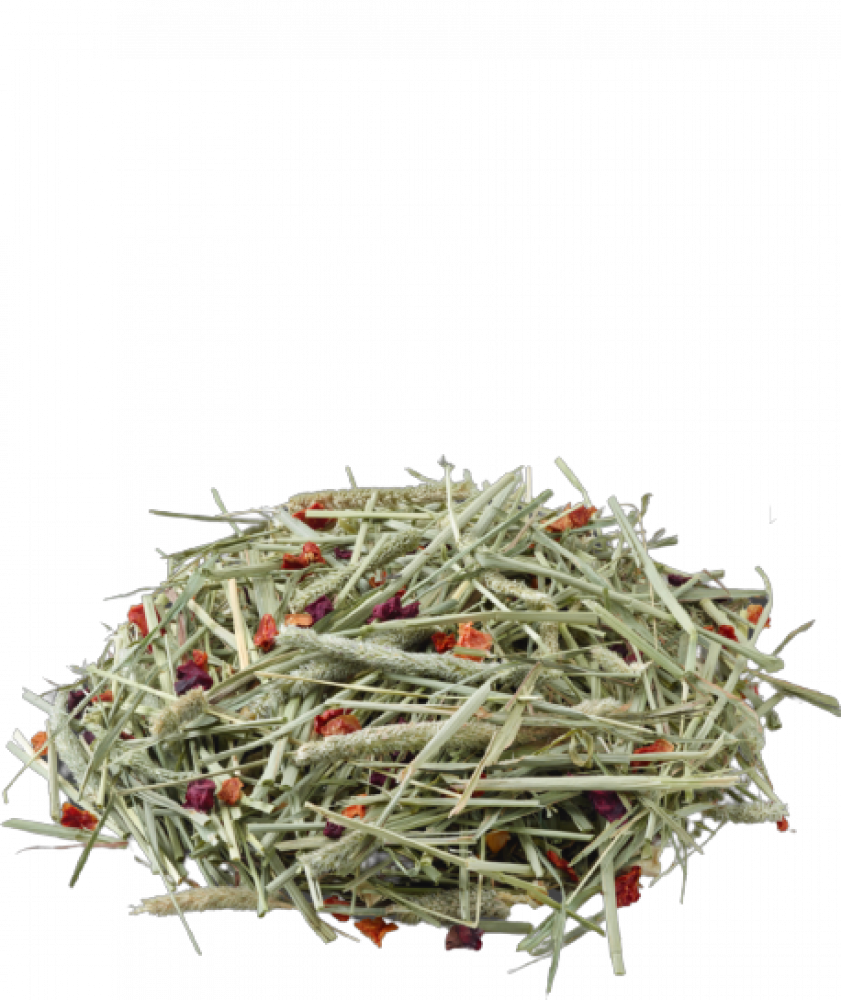 فيرسل لاقا تيموثي هاي علف الأرانب والهامستر بالطماطم وبذور الشمندر VERSELE-LAGA TIMOTHY HAY BEETROOT & TOMATO