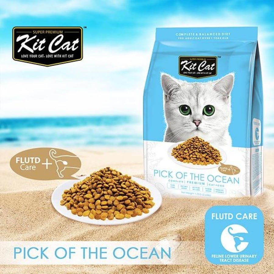 اكل قطط كتكات طعام جاف للقطط بالسمك Kit Cat Pick of the Ocean