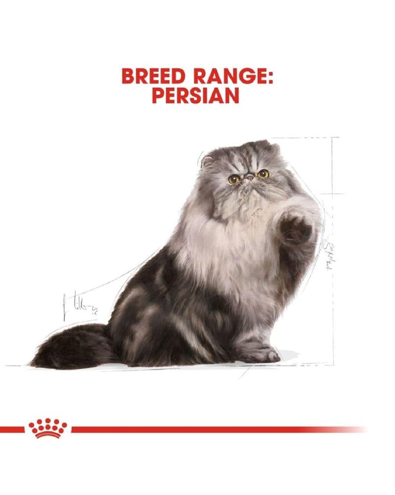 رويال كانين طعام جاف للقطط البالغة القطط الفارسية Royal canin Persian