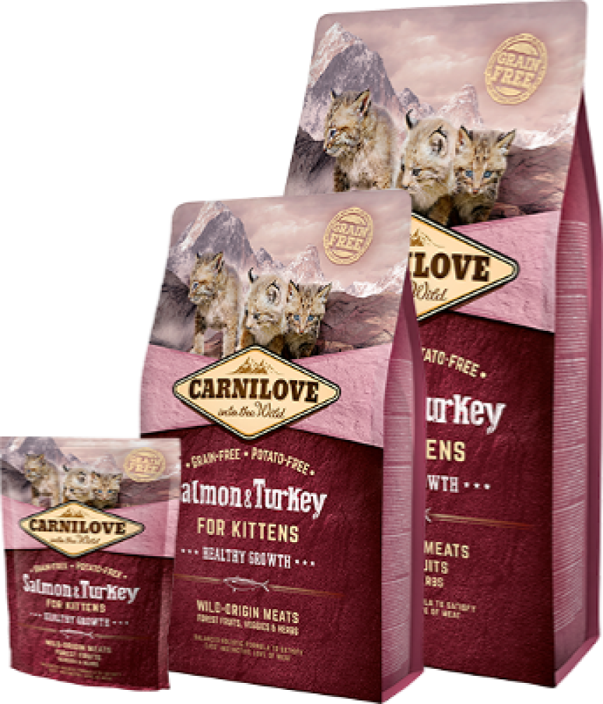 كارنيلوف بنكهة السالمون والديك رومي طعام جاف للقطط الصغيرة CARNILOVE Fresh Salmon & Turkey dry food - kitten 2kg-6kg