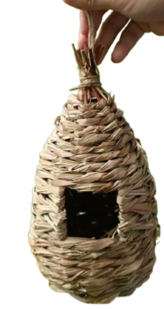 اعشاش وبيوت الزيبرا والعصافير الصغيرة