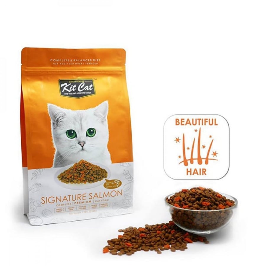 اكل قطط كتكات طعام جاف للقطط بالسالمون Kit Cat Signature Salmon