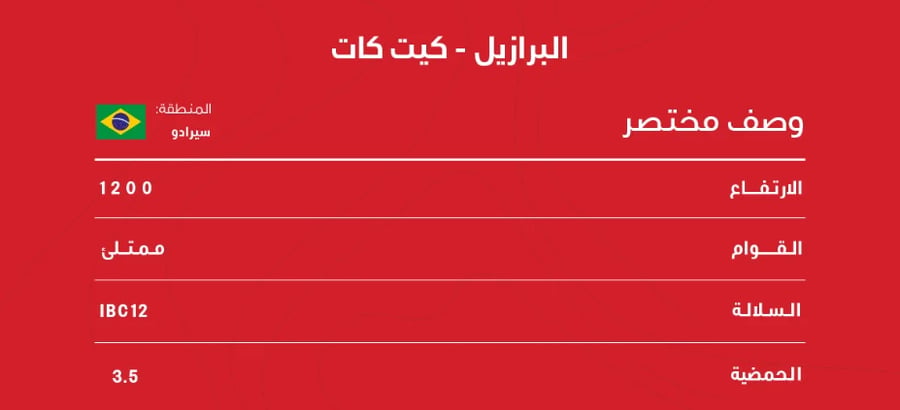 كيت كات بلاك نايت 250 جرام