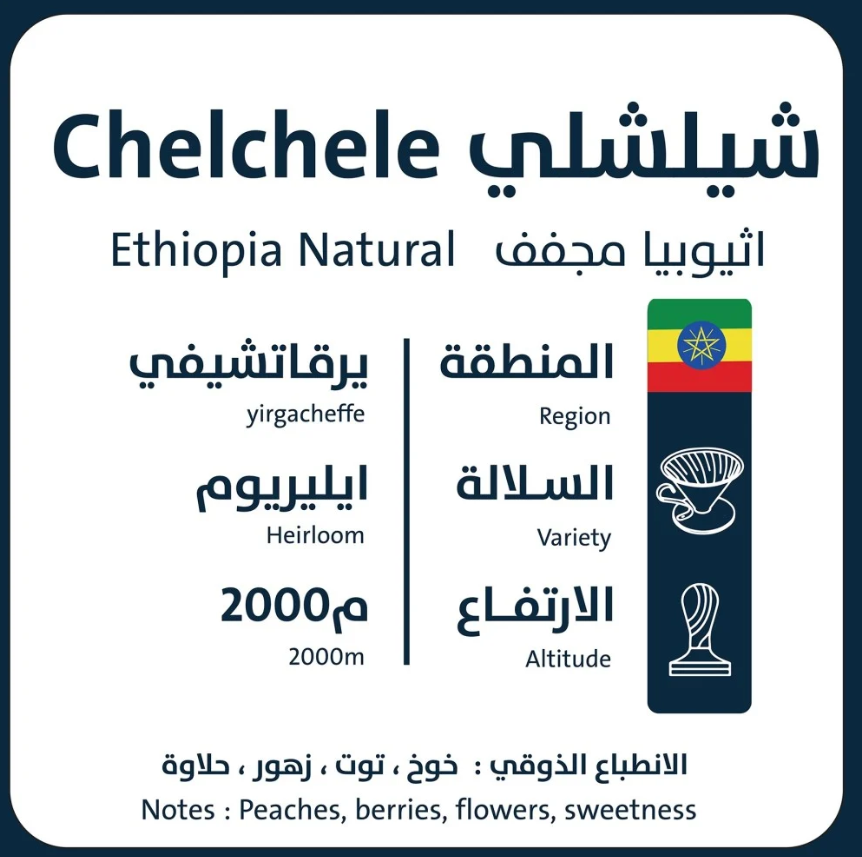 قهوة شيلشلي  اثيوبيا