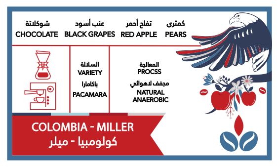 كولومبيا - ميلر 250 جرام
