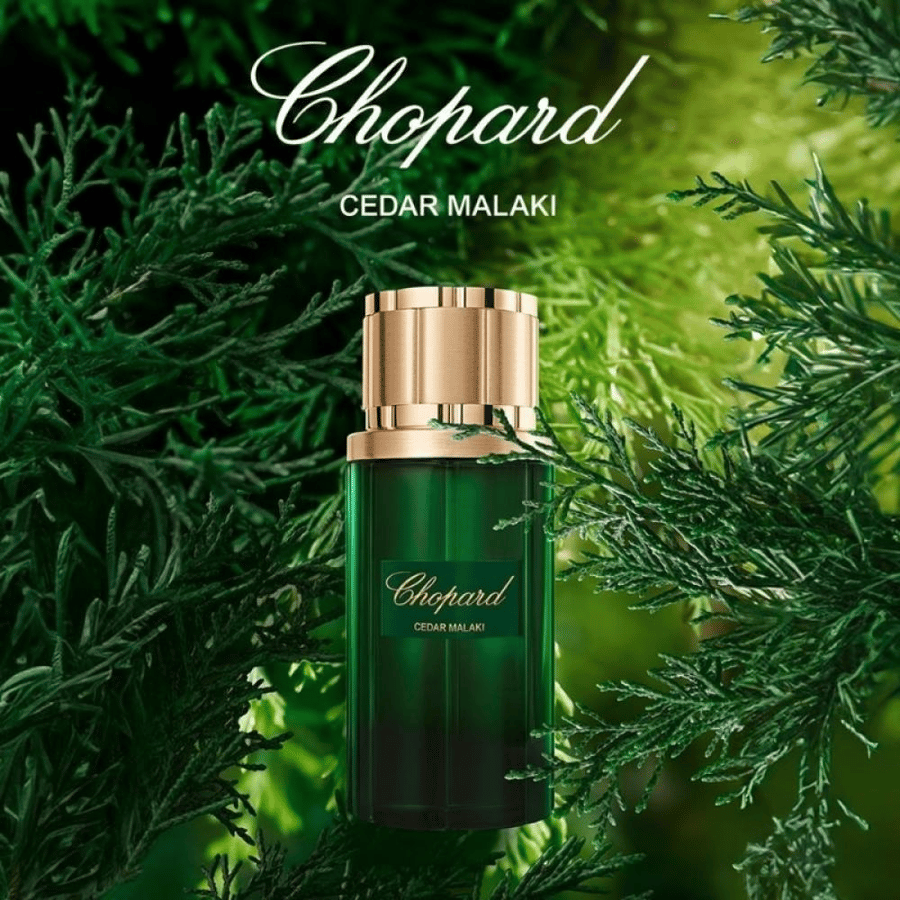 عطر سيدار ملكي من شوبارد او دي بارفيوم 80مل