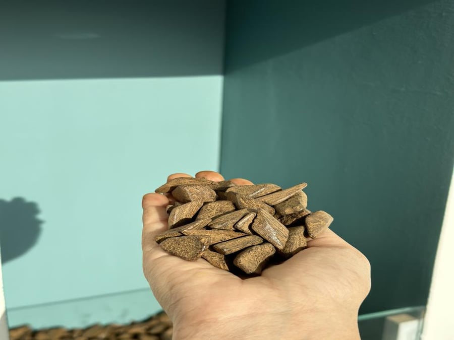 عود مروكي دقة الذهب