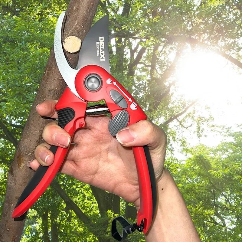 The distinguished garden scissors