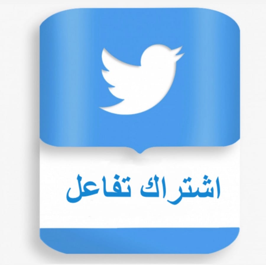 اشتراك يومي 3 تغريدات