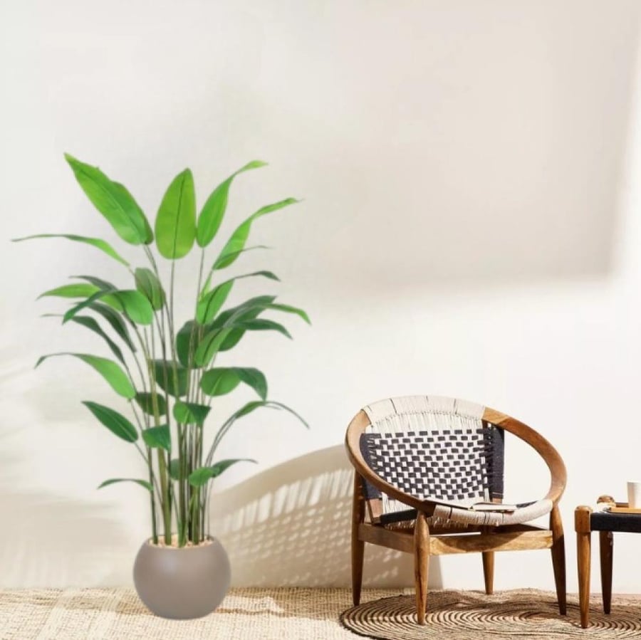 Banana tree plastic basin