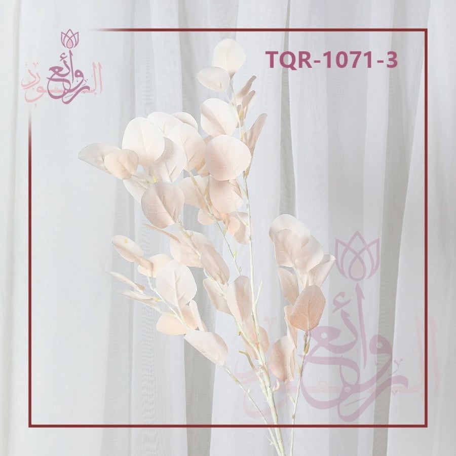 اغصان ورق التفاح