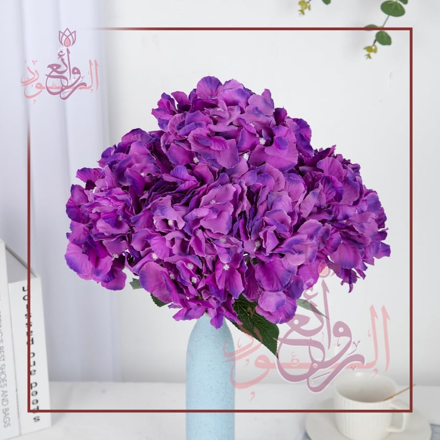 هيدرنجا 6 فرع