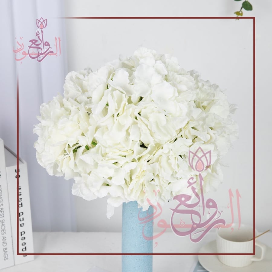 هيدرنجا 6 فرع
