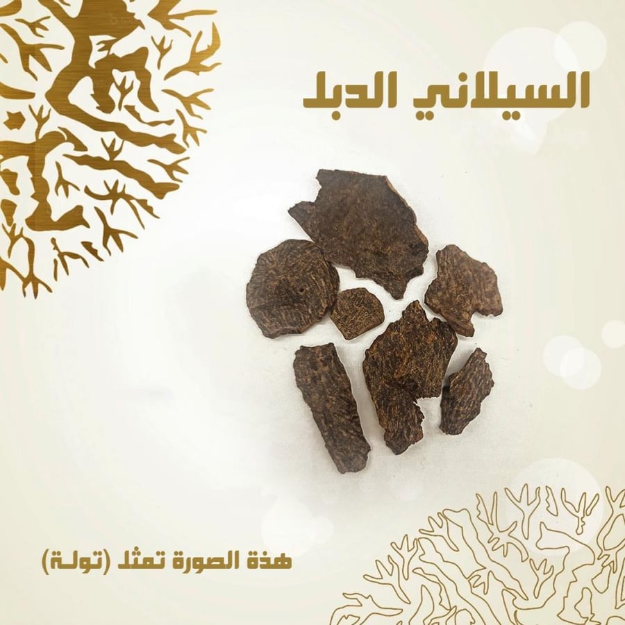 السيلاني الدبل - O10010082