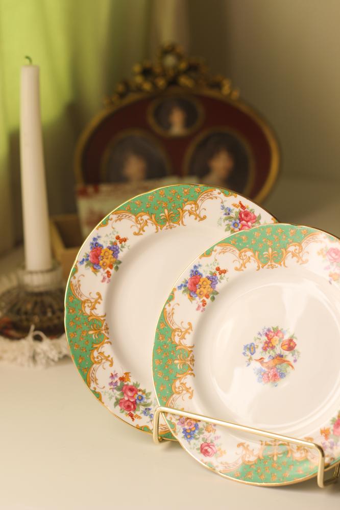 Two large-sized Paragon dishes