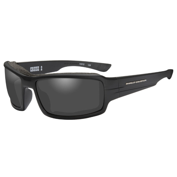Harley-Davidson Men's Cruise 2 Gasket Sunglasses, Gray Lens/Black Frames