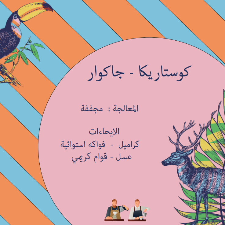 محمصة كرمله - كوستاريكا جاكوار 250g