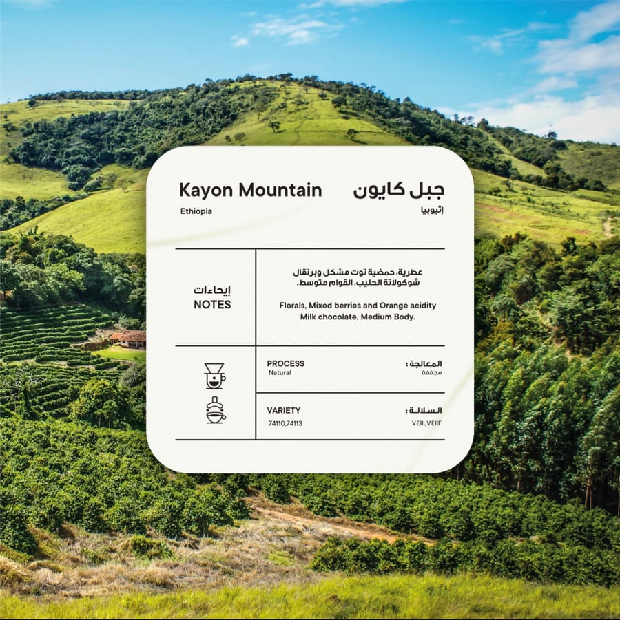 إثيوبيا جبل كايون - مجففة 250g