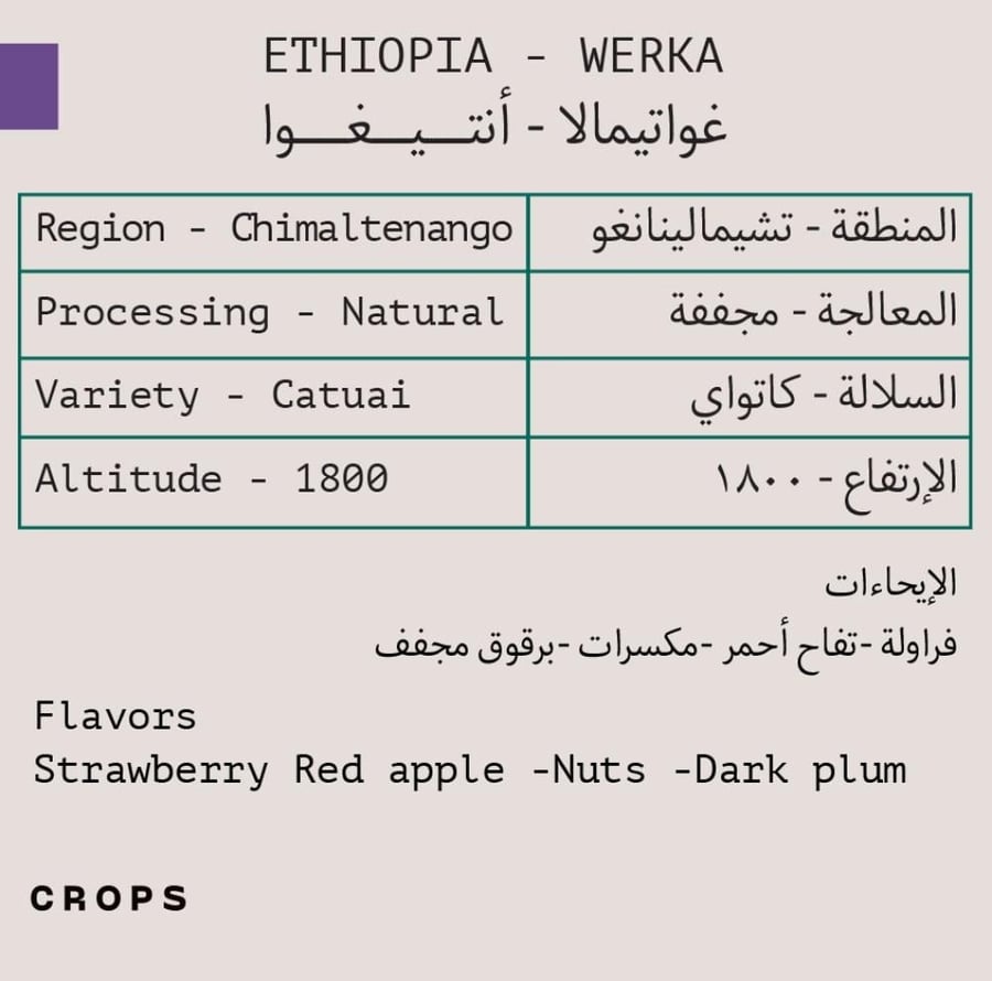محمصة كروبس- غواتيمالا - انتيغوا - مجففة 250g