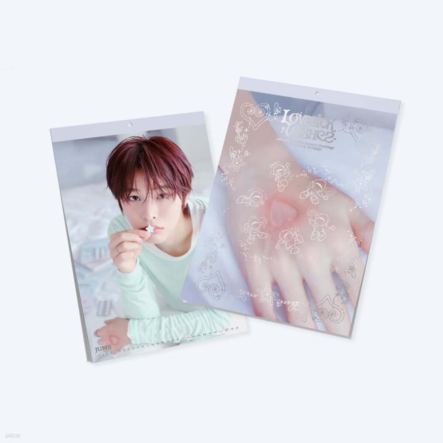 NCT WISH 2027 Season's Greetings (Wall Calendar)