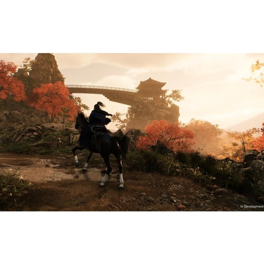 Rise of the Ronin