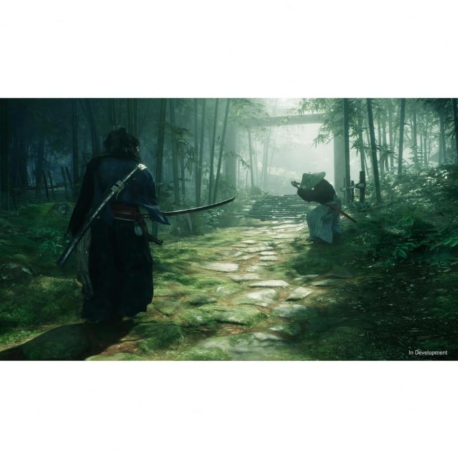 Rise of the Ronin