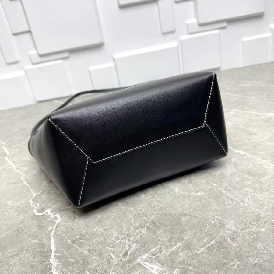 Miu Miu bag