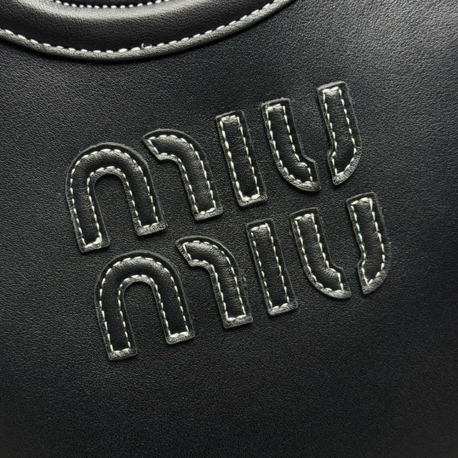 Miu Miu bag