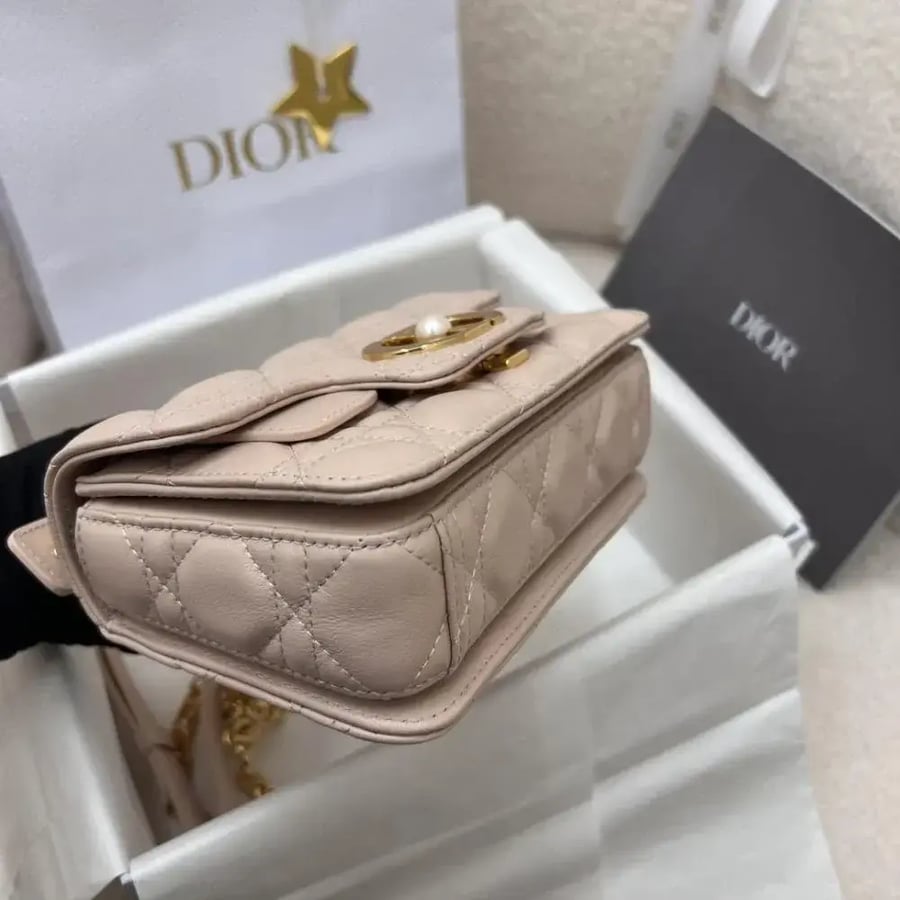 شنطة ديور ماستر