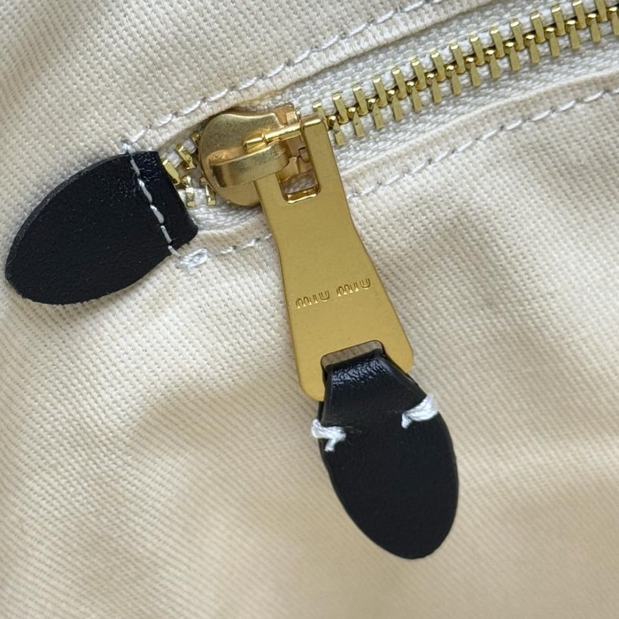 Miu Miu bag