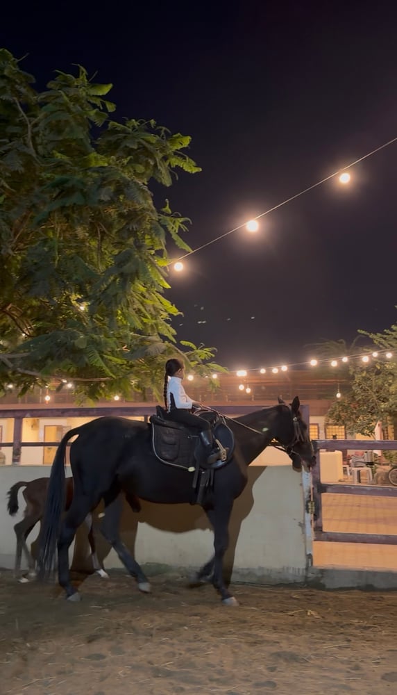 فرس شعبية دهماء مع مهرها