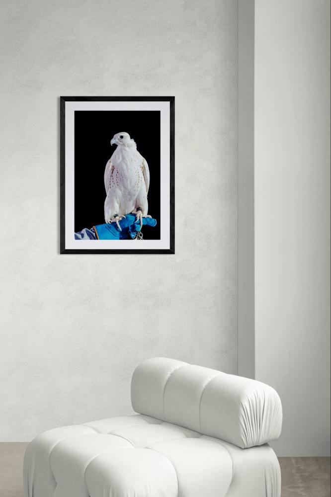 Wall art painting of a pure Gyr falcon