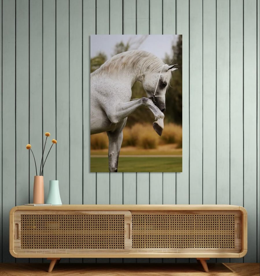A wall art painting of the beautiful horse “Ajmal Talal.”
