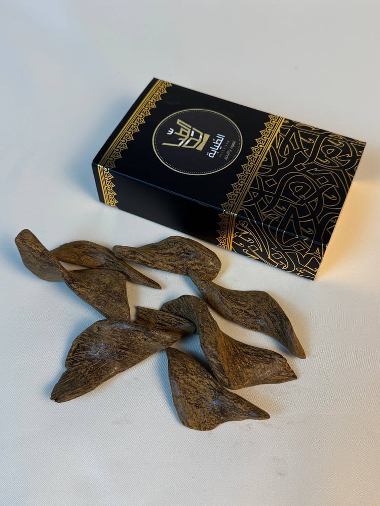 Moroccan oud, Mohsen Thabat