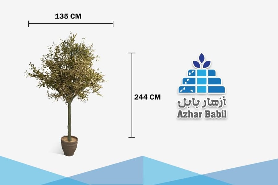 شجرة الزيتون الاصطناعية الفاخرة (أزهار بابل) - بتصميم متوسطي