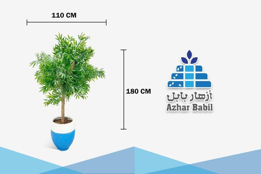 شجرة أوراق الصفصاف/الزيتون الاصطناعية بحوض أزرق وأبيض (أزهار بابل)