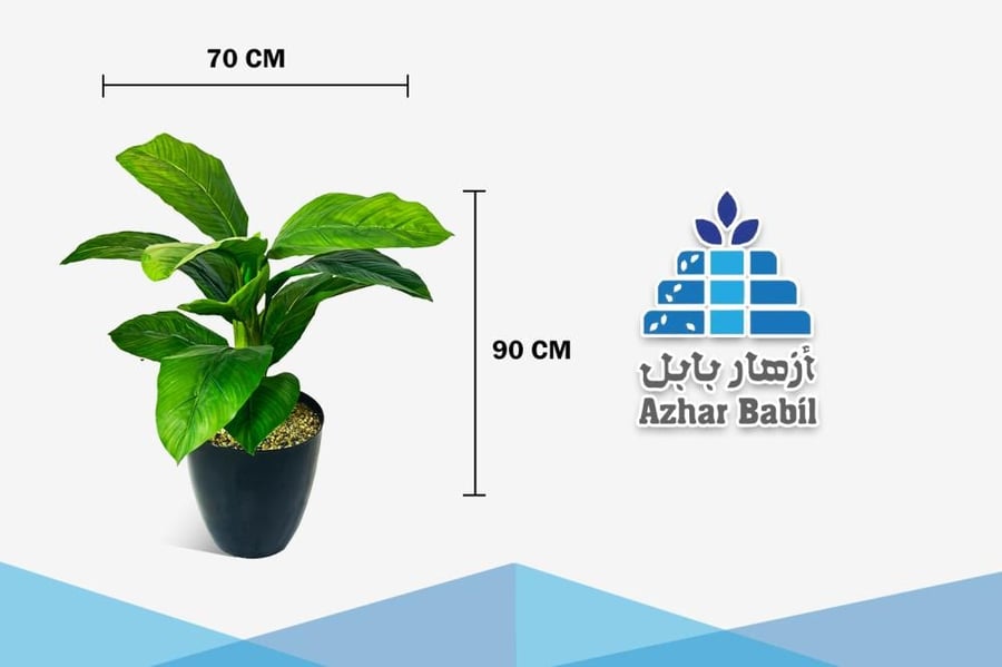 نبات زنبق السلام الاصطناعي بأوراق عريضة في مركن أسود