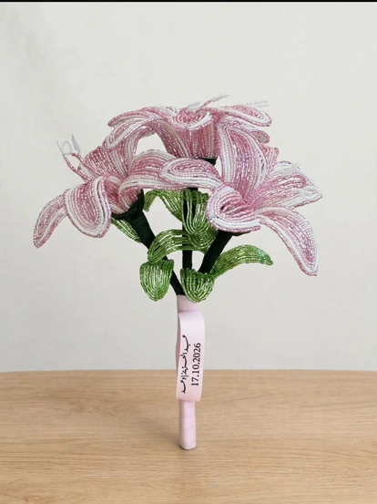 IMG 2415 png