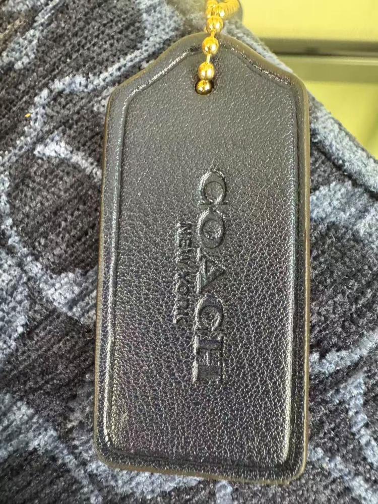 حقيبة كوتش Coach Etta