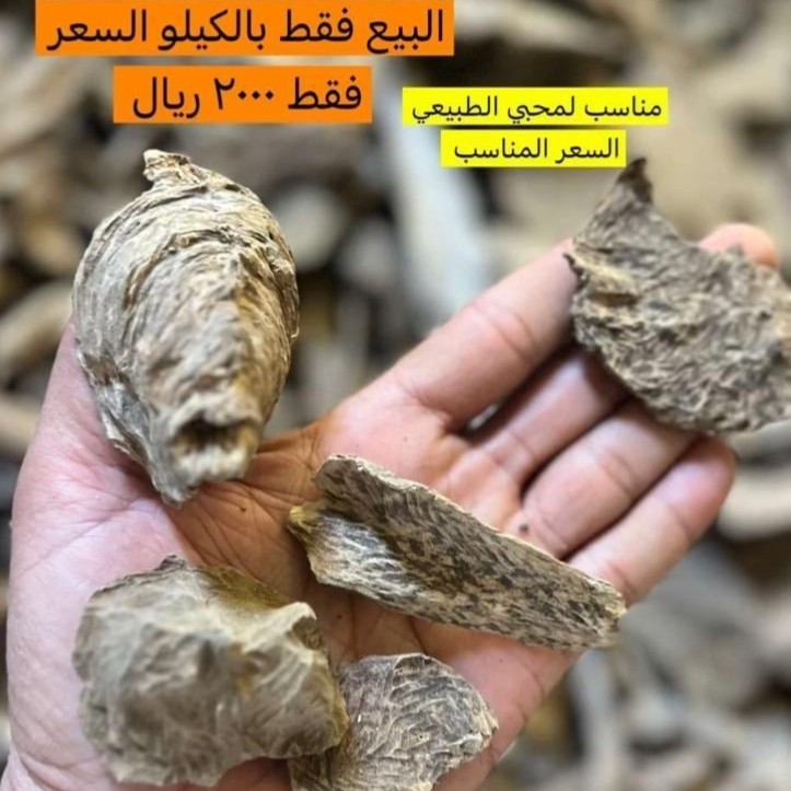 سيلاني سوبر وأقل