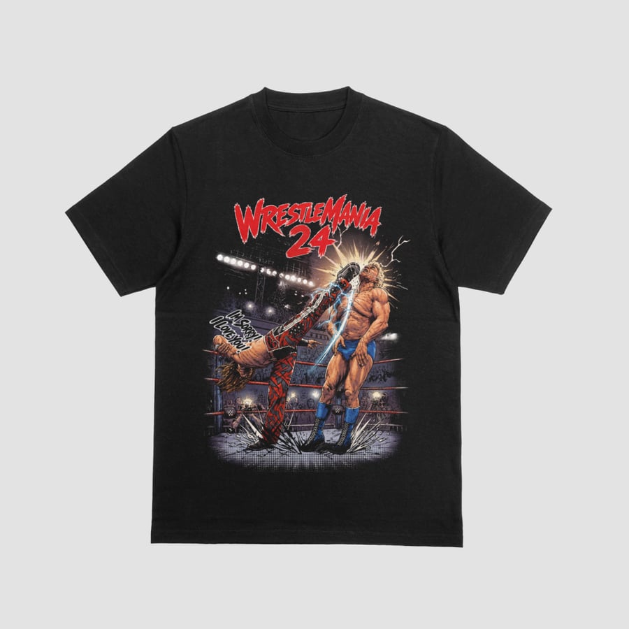 Shawn Michaels vs Ric Flair I'm Sorry I Love You Graphic