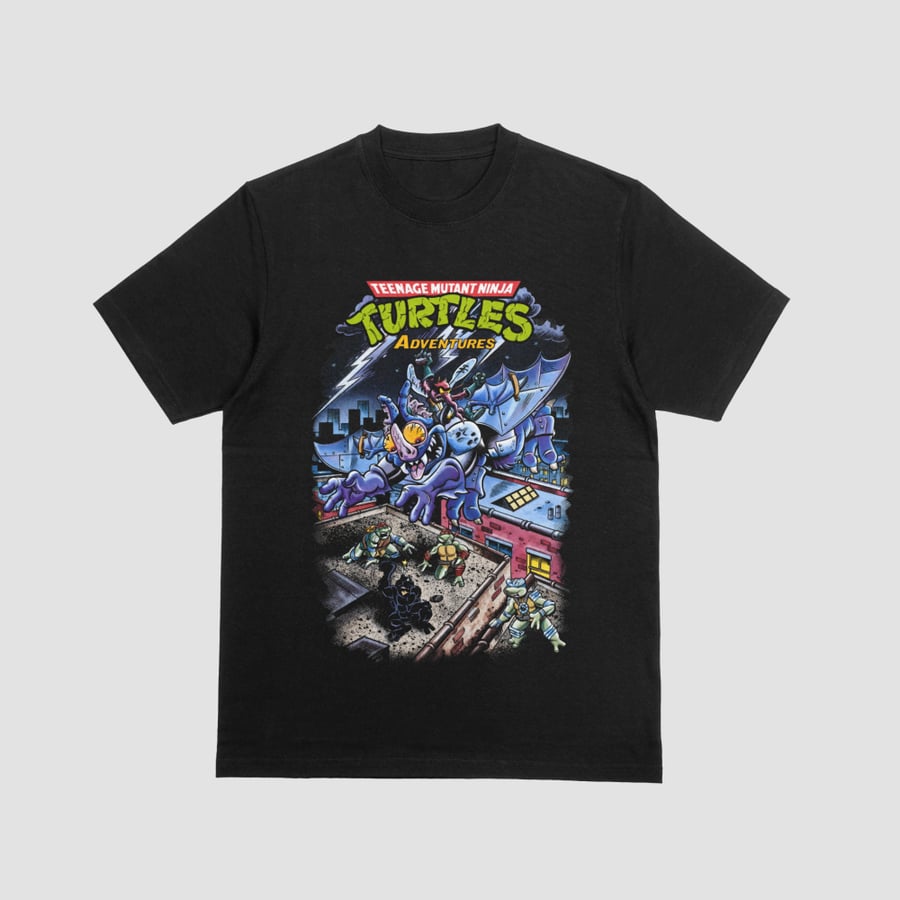 Teenage Mutant Ninja Turtles Adventures Wingnut and Screwloose Rooftop