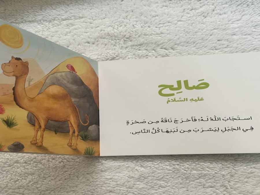قصص الأنبياء