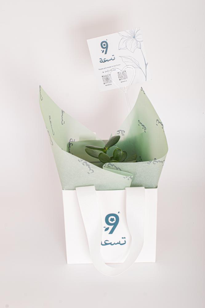 كرسول بيضاوي