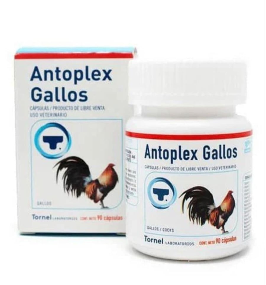 ANTOPLEX GALLOS