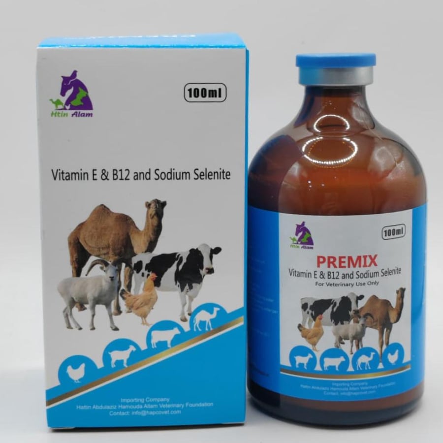 E & B12 100ML